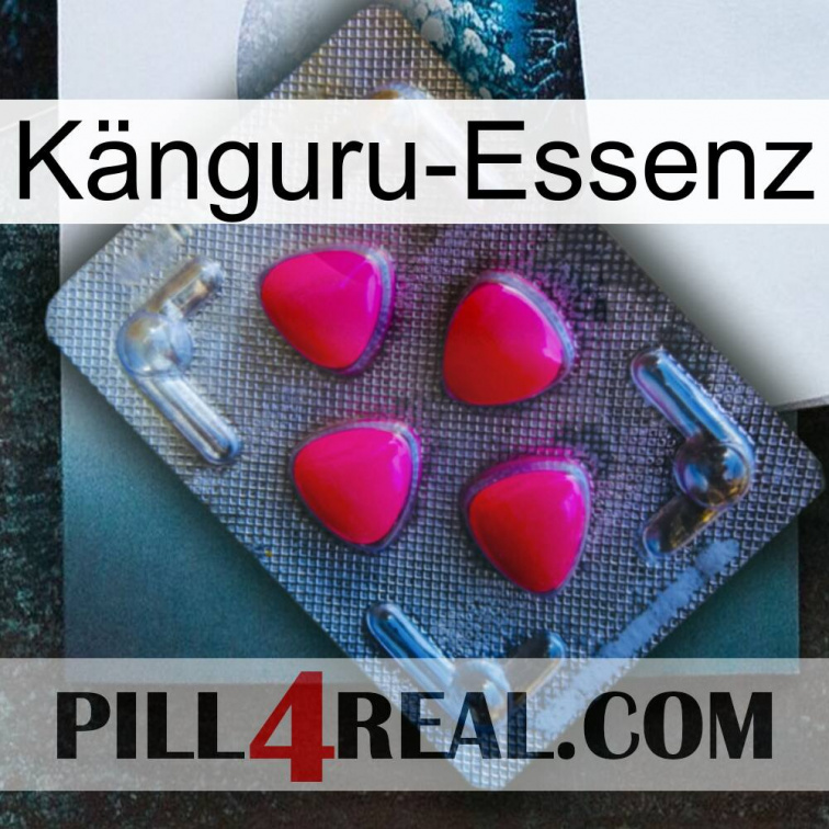 Känguru-Essenz 13
